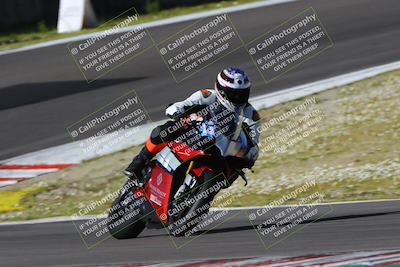 media/Mar-17-2024-Fastrack Riders (Sun) [[c7d6f8c14c]]/Level 3/Turn 6/